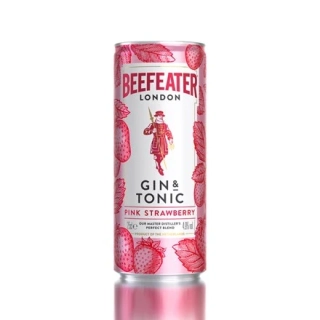 Gin Tonic Spritz 0,25l